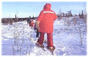 Snowshoeing